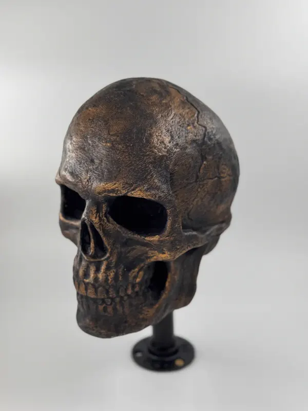 Crâne décoratif imprimé en 3D, peint en finition bronze vieilli, monté sur une tige et un socle noirs